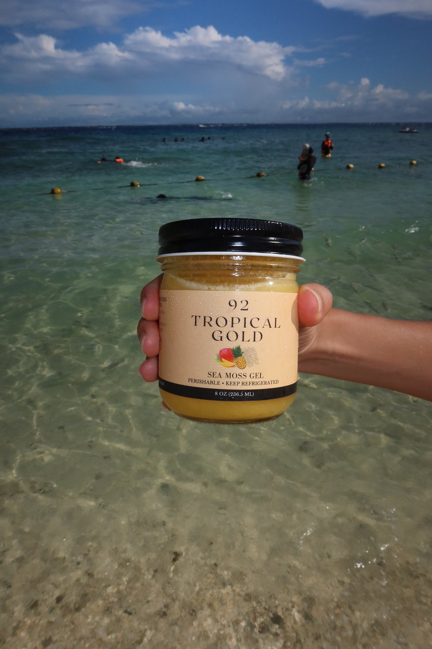 Tropical Gold Sea Moss Gel